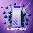 Vozol Gear Power 20000 - Blueberry Storm