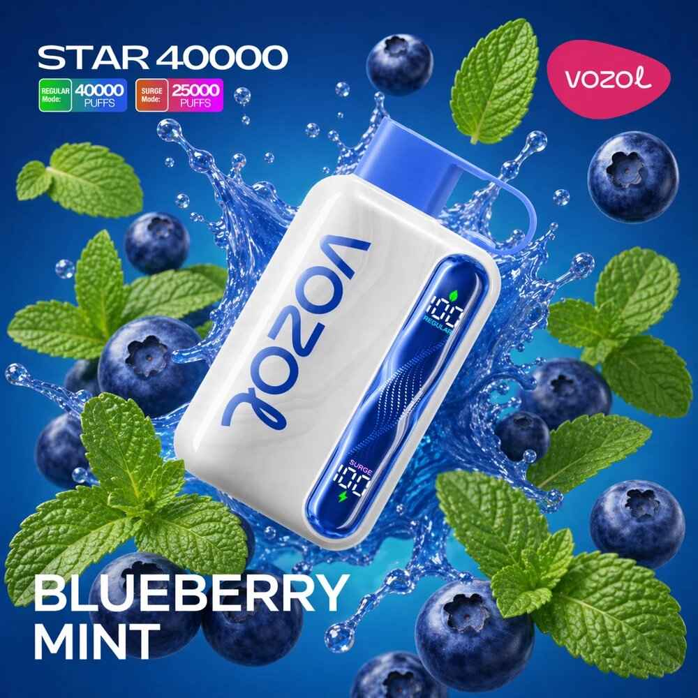 Vozol Vape Star 40000 - Blueberry Mint